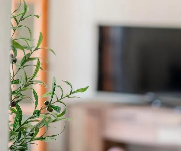 Jonathan Apartamento Cós