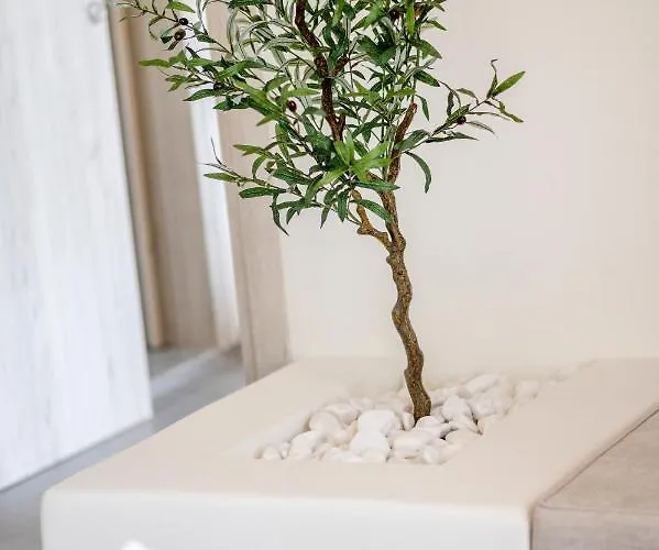 Jonathan Apartamento