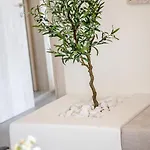 Jonathan Apartment
